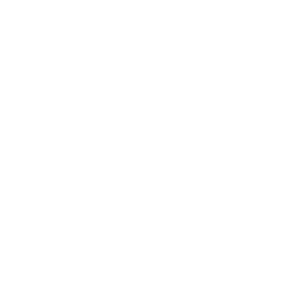 Supporter